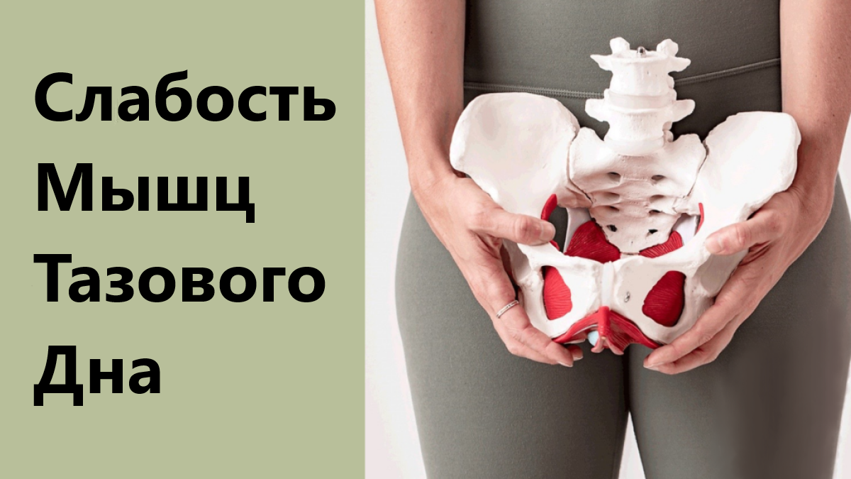 слабость мышц тазового дна